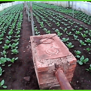 Печное отопление в теплице